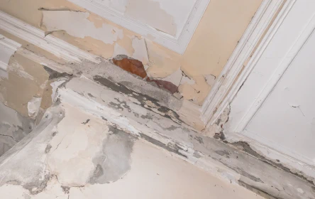 Structural Water Damage
